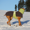 fleece  mikina - zelená