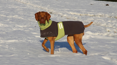 fleece mikina zelená